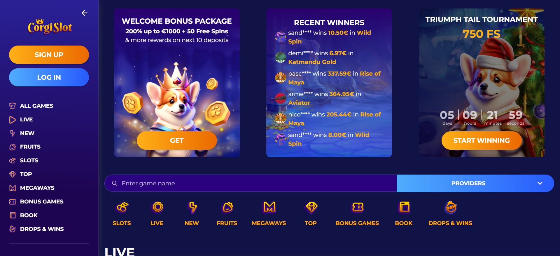 CorgiSlot Casino 1